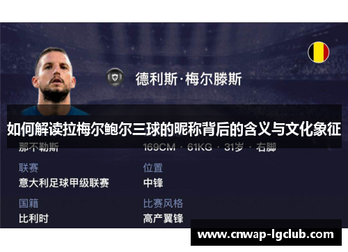 如何解读拉梅尔鲍尔三球的昵称背后的含义与文化象征