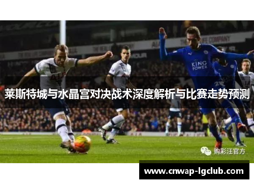 莱斯特城与水晶宫对决战术深度解析与比赛走势预测 莱斯特城与水晶宫对决战术深度解析与比赛走势预测