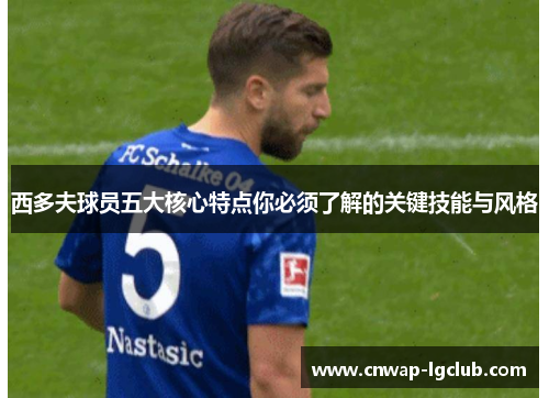 西多夫球员五大核心特点你必须了解的关键技能与风格 西多夫球员五大核心特点你必须了解的关键技能与风格