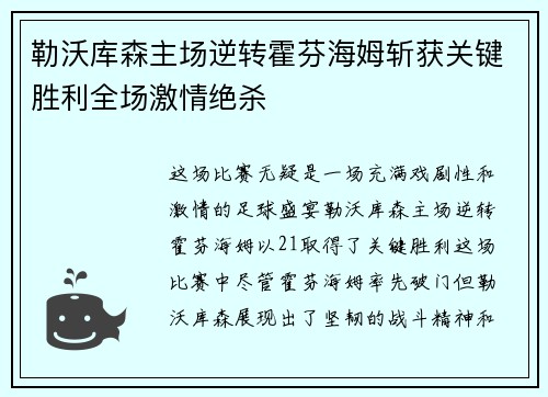 勒沃库森主场逆转霍芬海姆斩获关键胜利全场激情绝杀